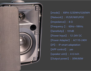 Haut-parleur intelligent mural POE 30W Équipement de sonorisation amplifié - Product Image 4