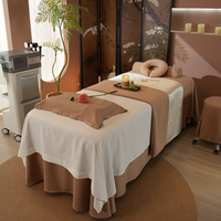 Ensemble de draps en flanelle de coton de première qualité marron clair épaissir couvre-lits de beauté Simple Salon de physiothérapie ensemble de lit draps