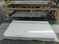 Fabricant de plaques en HDPE blanc, taille personnalisée, panneau en polyéthylène haute densité, OEM