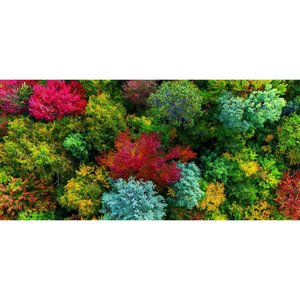 Proyector DLP para el Hogar W2720i, 2000-2500 Lúmenes, Full HD, Smart TV Android, HDR, Altavoces Integrados, Transmisión Inalámbrica de Pantalla, Soporte para Techo - Product Image 4