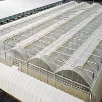 Serre moderne multi-voûtes en polycarbonate pour restaurant écologique et jardin paysager touristique