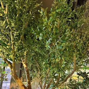 Árbol de <span class=keywords><strong>Olivo</strong></span> Artificial de 4 Metros, Árbol de <span class=keywords><strong>Olivo</strong></span> Artificial Realista para Decoración de Restaurantes y Cafeterías, Diseño Interior y Exterior, Árbol Artificial con <span class=keywords><strong>Maceta</strong></span> - Product Image 2