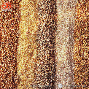 Machine à laver automatique, pour le linge, Grain, douce - Product Image 4