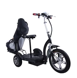 Off Road Golf Scooters 3 Wheels Electric Scooter Golf Grolley Cart Rear Wheel Drive Powerful Scooter Good Climbing