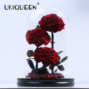 Regalo <span class=keywords><strong>de</strong></span> Cumpleaños <span class=keywords><strong>de</strong></span> <span class=keywords><strong>aniversario</strong></span> <span class=keywords><strong>de</strong></span> lujo rosa roja preservada Real hecha <span class=keywords><strong>a</strong></span> <span class=keywords><strong>mano</strong></span> cúpula <span class=keywords><strong>de</strong></span> cristal Rosa eterna con caja <span class=keywords><strong>de</strong></span> regalo - Product Image 3