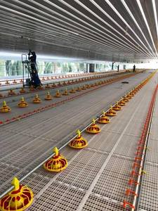 Vật liệu cao Tự động gà trang trại chăn nuôi thiết bị hoàn toàn tự động xoắn nâng Feeder gà trang trại thiết lập - Product Image 2