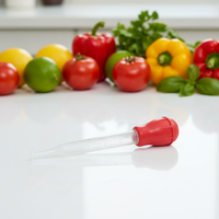 UJ-KT622  Baster professionnel en silicone pour la dinde  Baster pour poulet