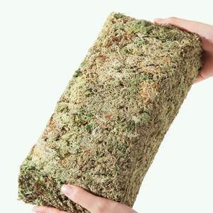 Субстрат для рептилий, оптовая продажа, низкая цена, длинный волокнистый сжатый сухой кирпич 100 г 500 г 1 кг Моха сфагнума - Product Image 1