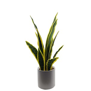 Para Tizen Planta de serpiente artificial al aire libre <span class=keywords><strong>Sansevieria</strong></span> Bonsai PE Plantas en maceta para jardín de boda o decoración de patio del hogar - Product Image 6