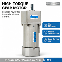 Moteur à engrenages agricole 16 mm, boîtes de vitesses AC, moteurs de réduction de vitesse 120W 220V, vente en gros, directement de l'usine