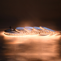 Bande lumineuse LED SMD2835 24V à effet d'eau courante, 10mm, 120 LED, 6500K, 4500K, 3200K, blanc électro-plaqué