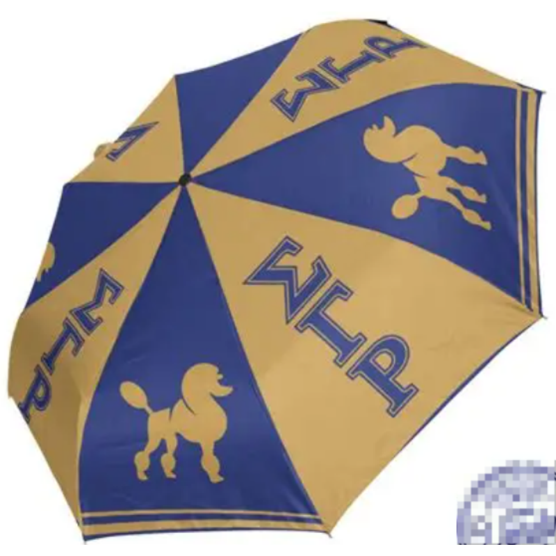 Sigma Gamma Rho 2