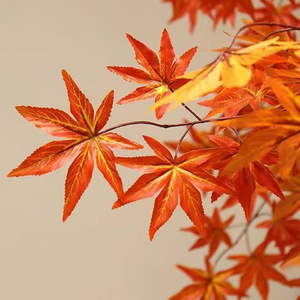 Fournisseur d'usine : Grand Arbre d'érable artificiel japonais d'<span class=keywords><strong>automne</strong></span> (3m/10ft) vert, rouge, orange, type bonsaï, pour la décoration intérieure - Product Image 3