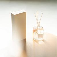 Bouteille d'arôme en verre élégante, anti-fuite, diffuseur décoratif pour huiles essentielles DIY