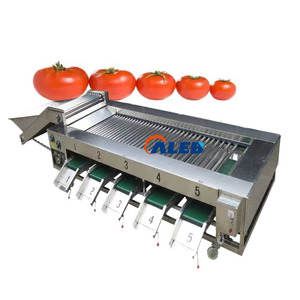 Máquina clasificadora de cítricos/mangos/pinos agrícolas - Product Image 1