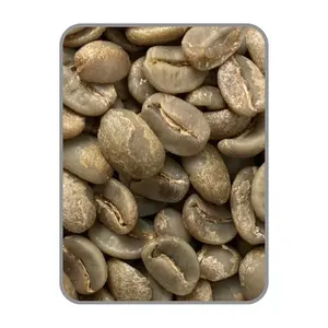 Arabica Catimor Fast Delivery Vietnam Raw Green Coffee Beans Raw Coffee Customized Packaging Vietnam Manufacturer