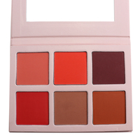 Palette vide OEM pour fard à joues et bronzer, 6 couleurs, taille standard, poudre minérale, résistante à l'eau, protection solaire, marque privée, usage visage