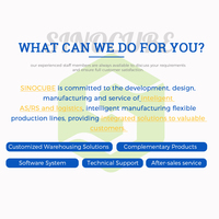 Sistema Automatizado de Almacenamiento y Recuperación (AS/RS) Personalizado, Sistema Inteligente para Almacenes Automatizados, Equipo de Logística Inteligente