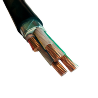 Cable de Alimentación Revestido de Fabricante de Cables, Armadura de Banda de Acero, Baja Tensión 0.6/1kv, 3 4 5 Núcleos, Minería Subterránea, Túnel Industrial