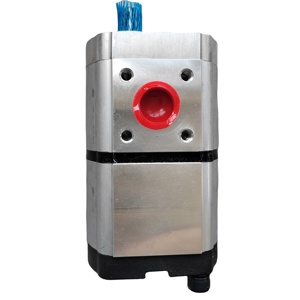 05810508 เครื่องก่อสร้างโรลเลอร์บดถนน ปั๊มเกียร์ - Product Image 6