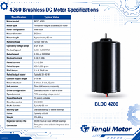 Moteur CC sans balais Tengli BLDC 4260 12V 24V 40W 3200-4200 tr/min, rotor interne triphasé, contrôle de vitesse PWM pour l'automatisation robotique
