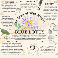 Nymphaea Caerulea, fleurs entières séchées en sachet, conformes aux normes européennes, magnifiques fleurs de lotus bleues, aide au sommeil, thé