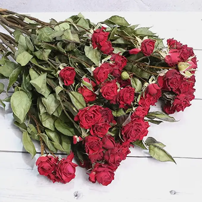 2022 the most popular Natural diy flower Dried Rose Buds valentines day gift real touch roses