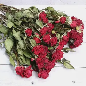 Rosas secas naturales, el más popular, regalo del Día de San Valentín, 2022 - Product Image 1