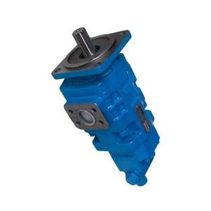 HANSEN 1155442011 803004128 PB4860-100 P124-10Y030 durable pièces de rechange engrenage tandem hydraulique Double pompe - Product Image 5