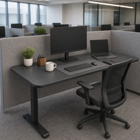 Cadre de bureau ergonomique à double moteur, base de bureau électrique réglable en hauteur pour poste de travail de bureau