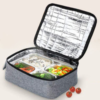 Four électrique portable 12V pour réchauffer les aliments en voiture Équipement thermique pour réchauffer la boîte à lunch Boîte à lunch d'aliments crus congelés dans un fourre-tout