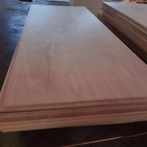 Contreplaqué bintangor commercial de 18mm - Product Image 3