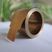 Ressorts plats OEM personnalisés avec languette droite pour barrière de contrôle des foules rétractable et tube de rideau enrouleur