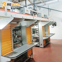 Équipement de cage en H automatique pour volailles, solution d'élevage pour 20 000 poulets, système d'alimentation et de collecte des œufs