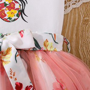 Conjuntos de Ropa Casual para Niñas OEM ODM Personalizados, Camisetas con Mangas Volantes, Faldas Tutú con Estampado de Dibujos Animados, Vestidos de Princesa para Niñas - Product Image 4