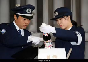 Entrega no Porto de <span class=keywords><strong>Colombo</strong></span> e Frete Marítimo para o Sri Lanka - Carga Aérea IATA, Tarifas de Envio FCL e Agente de Importação no Sri Lanka - Product Image 6