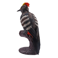 Modelo de simulación de animales, equipo educativo, espécimen de pájaro carpintero