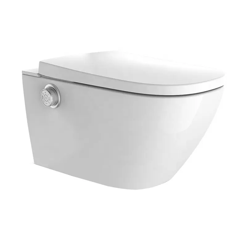 Factory Sanitary Ware Wall Mounted Bidets Toilets OEM Intelligent Toilet Seat