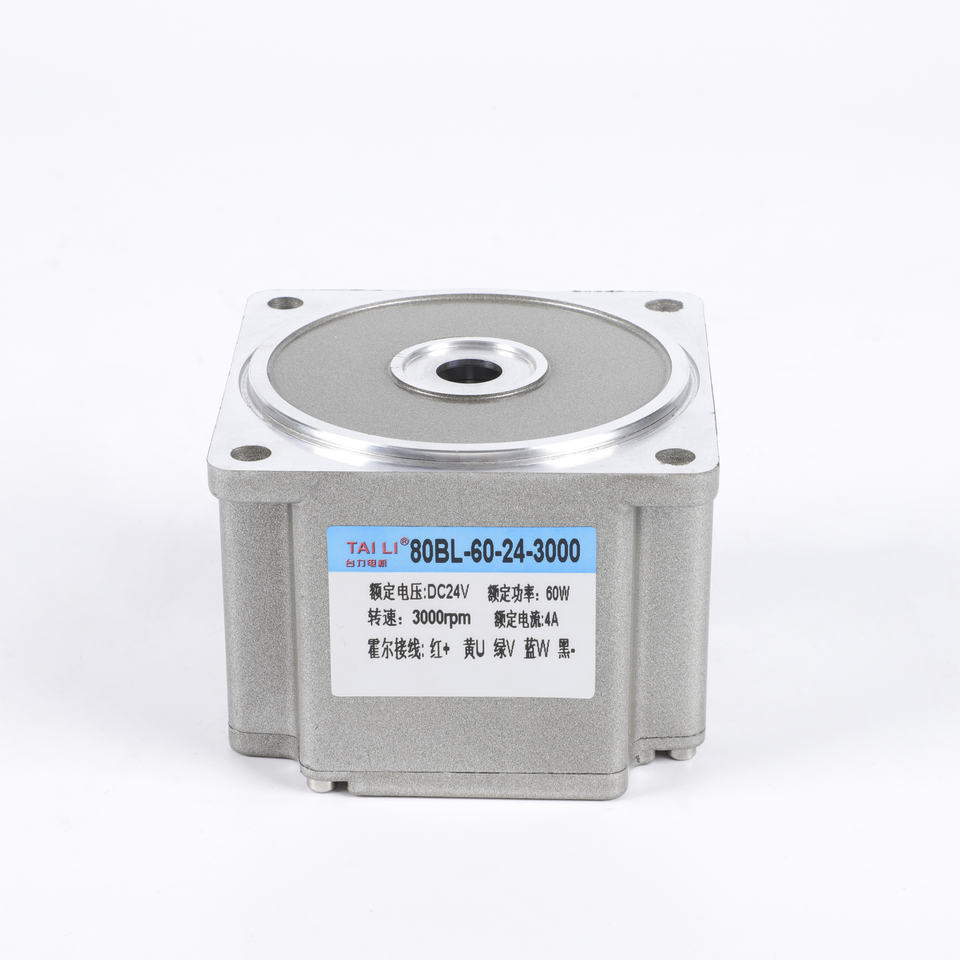 12v 24v 48v 220v High Torque Electric BLDC Brushless DC Gear Motor ...