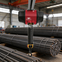 Grúa Cantilever Móvil Plegable de 250 kg con Brazo Giratorio de 360° y Pluma Fija, Grúa de Brazo Articulado con Elevación Inteligente