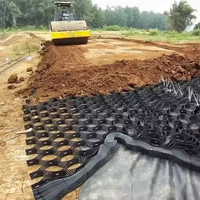 Mur de soutènement en géocell HDPE pour la protection et l'aménagement paysager, grille alvéolaire, pavés en béton pour gazon, géocell pour allée