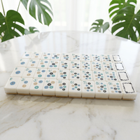Pasokan Langsung Pabrik 160 Buah Set Permainan Mahjong Amerika Berkualitas Tinggi dan Tahan Lama untuk Importir Permainan dan Hadiah Global