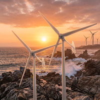 Éolienne à axe horizontal 220 V 2026 Light Wind Mill à 3 pales pour maison et ferme