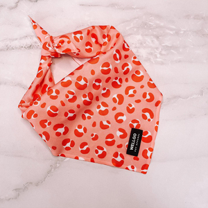 Harnes anjing dan Set tali anjing dapat disesuaikan Harness anjing tidak menarik tanpa tersedak Harness anak anjing untuk berjalan untuk kecil, sedang, hewan peliharaan besar - Product Image 6