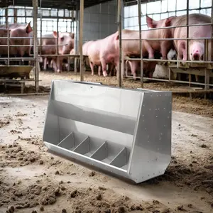 Double Side Extra Thick Stainless Steel Feeding Trough with 10 Holes Used Fattening Pig Equipment for Pig Farm