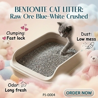 OEM Bentonit Abu-abu Pecah Ukuran Besar 0.5-2mm Pasir Kucing dari Tanah Liat  Multi  Penghilang Bau Kucing