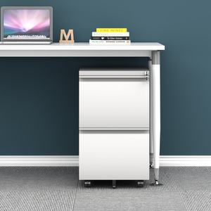 Gabinete de exhibición de acero de 2 capas con cerradura Estuches de tienda minorista Juego de herramientas Ruedas para archivar Lateral para almacenar coleccionables - Product Image 1