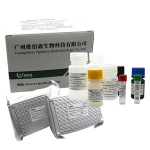 Kit ELISA pour la détection des anticorps contre le virus de la diarrhée virale bovine (VDB) VIUICK (VIPOTION) Modèle EP-I-0040-2 Diagnostic médical facile - Product Image 2