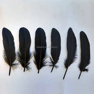 Precio al por mayor, plumas de ganso blancas y negras de 6-8 pulgadas para bádminton, Ala de Ángel, artesanía, atrapasueños, decoración, disfraz de Carnaval - Product Image 1