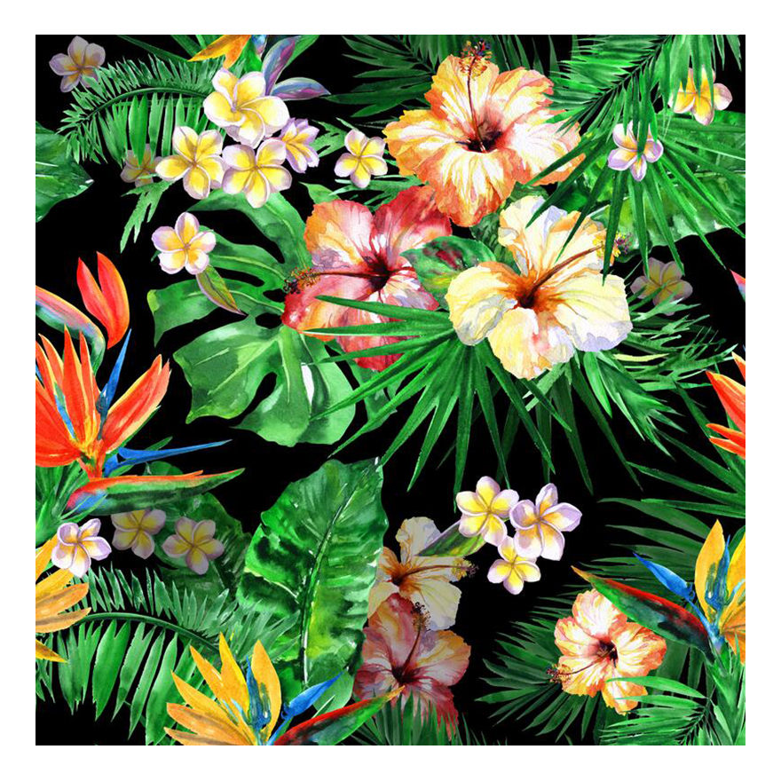 colore dell'immagine 5